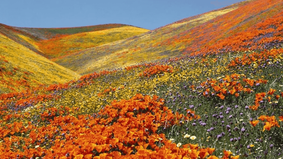 67973ce7a88fe7325f40ae3e