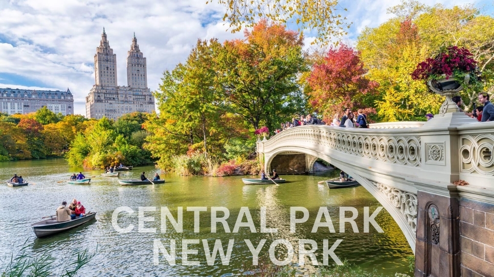 67e1548acd3ed61b8bd9af90