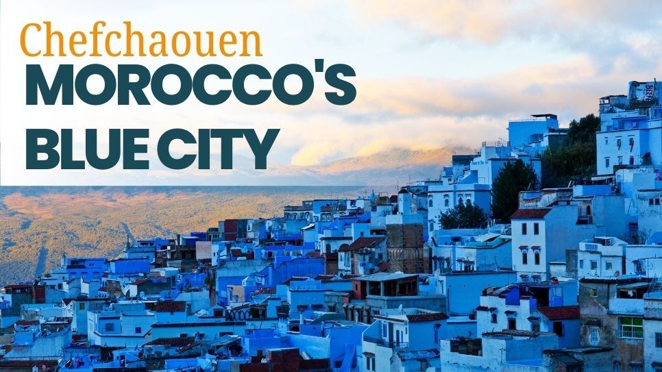 67fe2e8ecd3ed61b8bd9af95